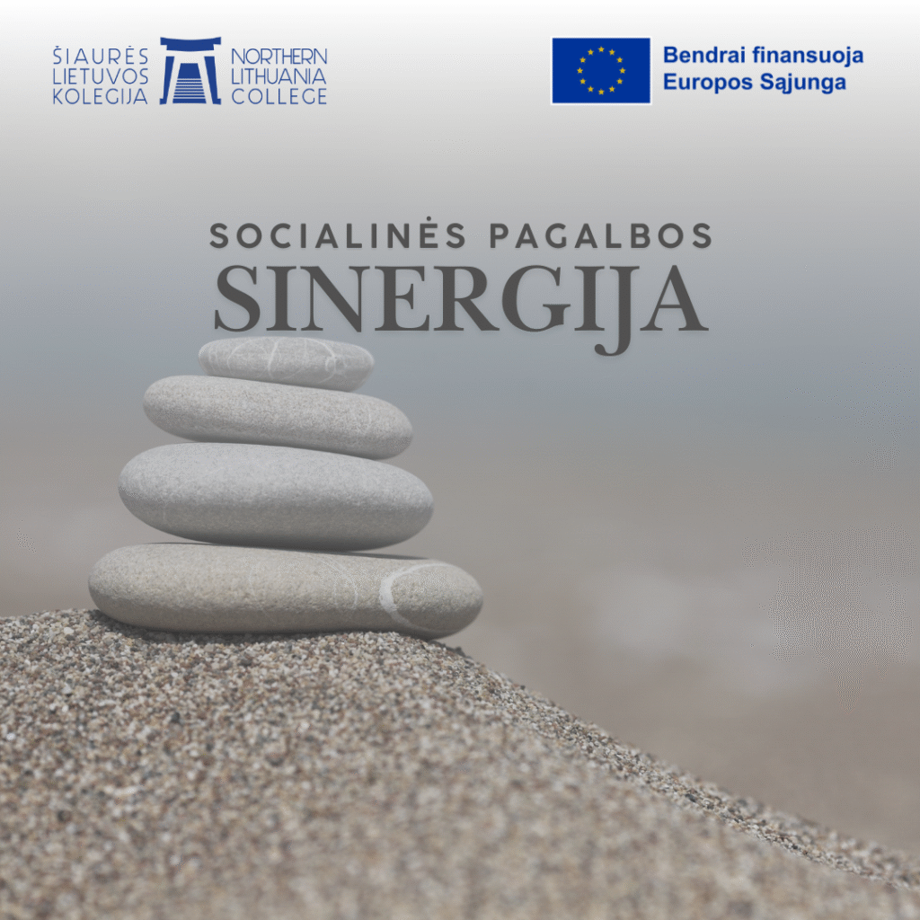 socialinės pagalbos sinergija, tinklas,