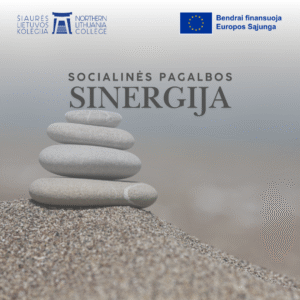 socialinės pagalbos sinergija, tinklas,