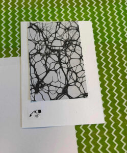 fd29023f-095f-4105-8a3e-669590bfbd30